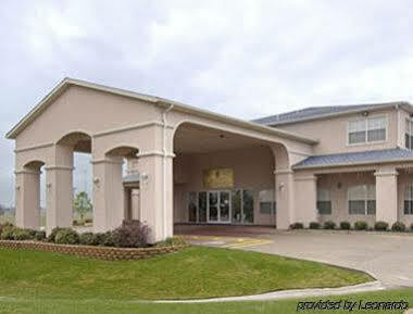 Super 8 By Wyndham Greenville Eksteriør bilde